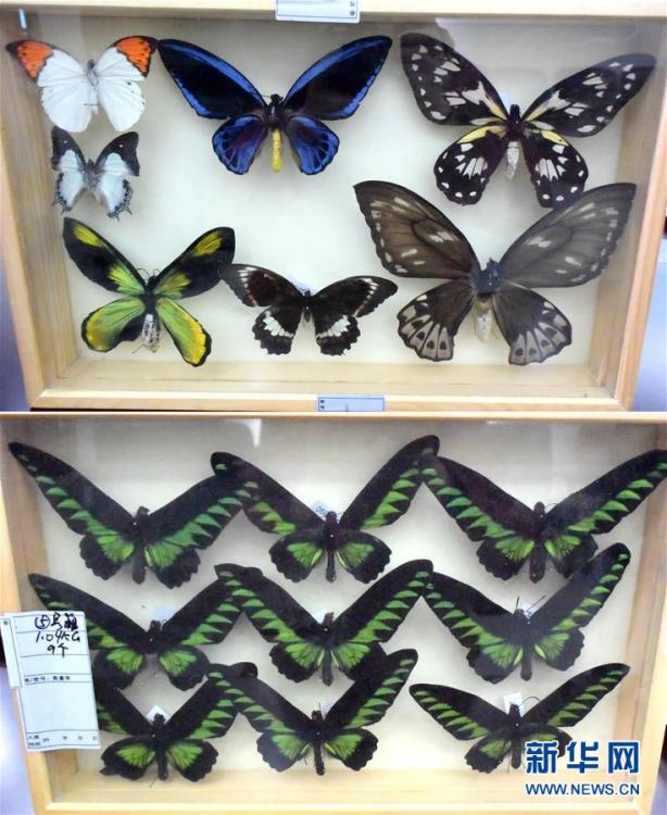 ????? ????? ???? ????? ???? ?? ??? ????? ????? ????????? 