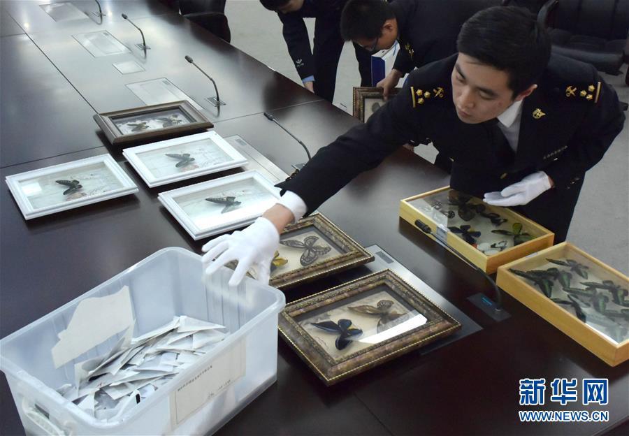 ????? ????? ???? ????? ???? ?? ??? ????? ????? ????????? 