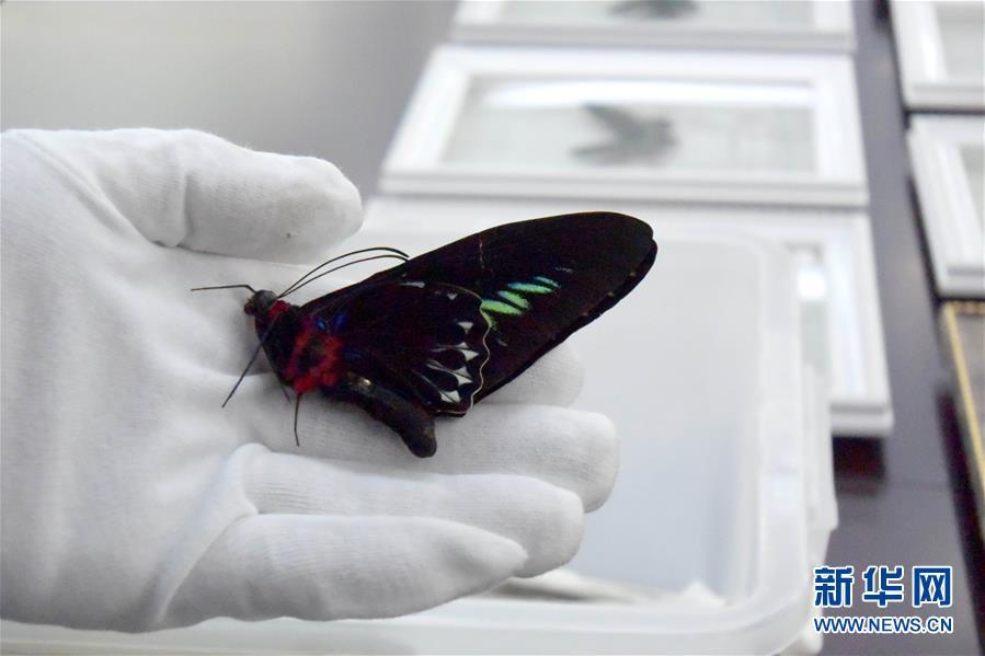 ????? ????? ???? ????? ???? ?? ??? ????? ????? ????????? 