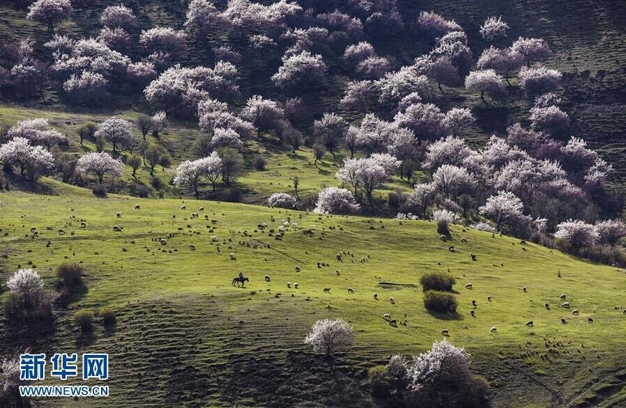 ??????? ??????? ?? ??????? ??????? ?????????