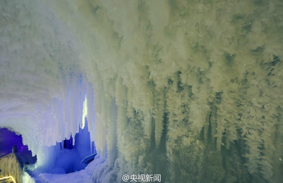 ????? ?? ???? ??? ????? ?? ?????