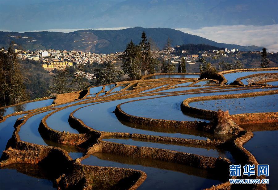 ????? ?????...???? ????? ?? ??????