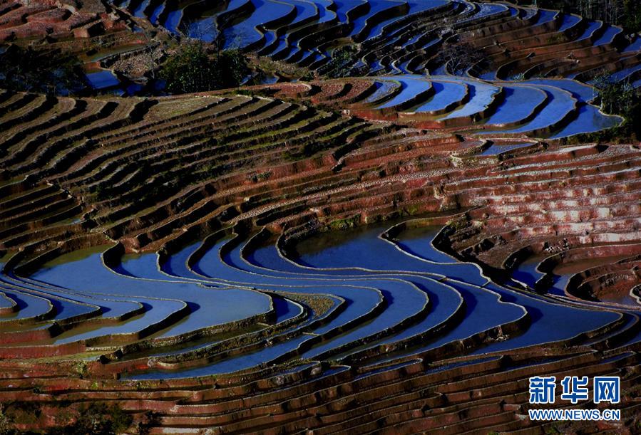 ????? ?????...???? ????? ?? ??????