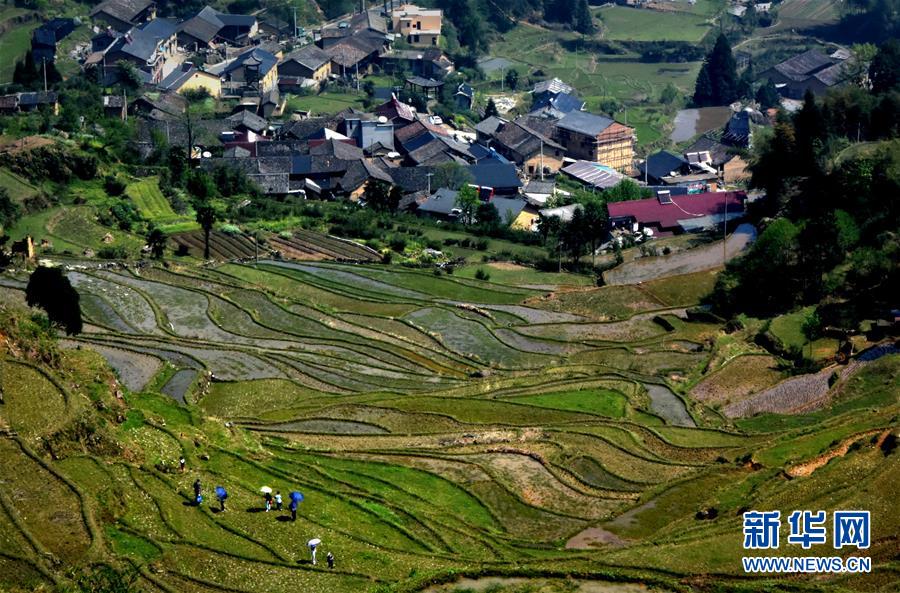 ????? ?????...???? ????? ?? ??????