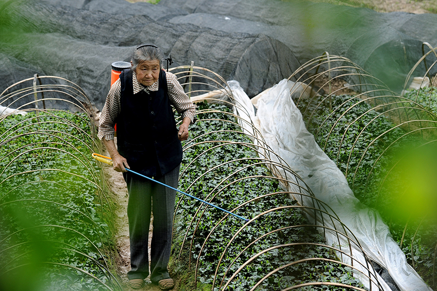 ??????? ???? ????? ????? ???????