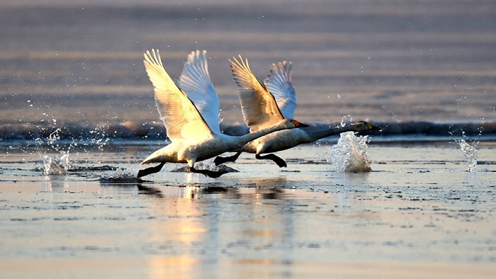 ??????:???? ?? ????? ?????? ??? ??? ????? ???? ?? ?? ?????? ??????? ???????? ???????