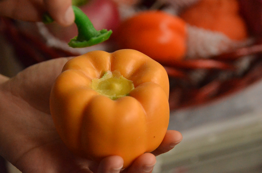 ????? ?????? ?? ???? ?? ????? ?? ????