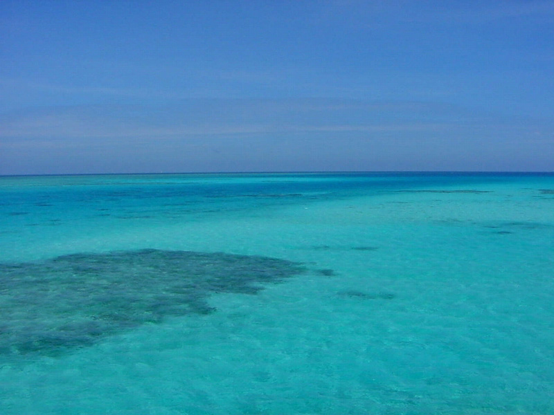 ?????: ???????? ?????? ??????? ?? ??? ????? ??????? ??? ?????? ???????