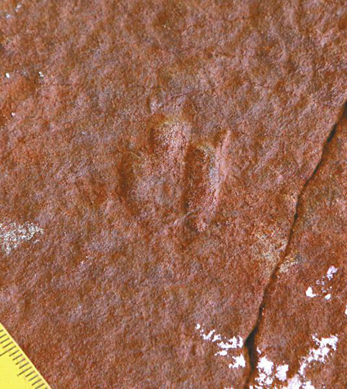 ?????:?????? ??? ???? ?????? ?????? ????????? ?? ??????