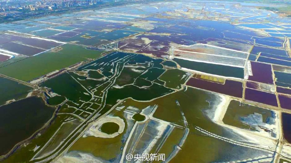 ???? ????? ????? ?? ??? 