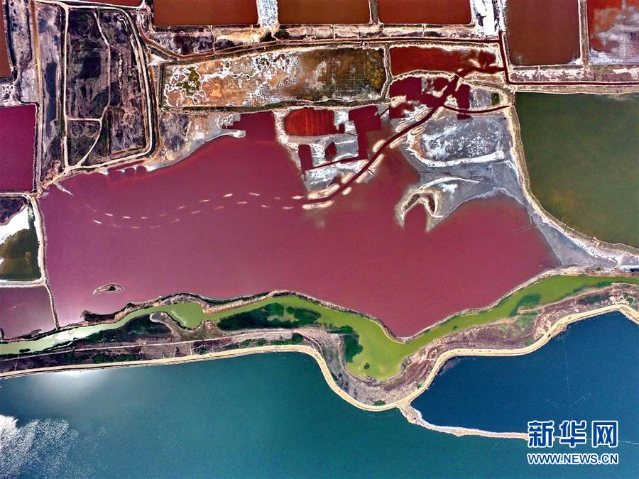 ???? ????? ????? ?? ??? 