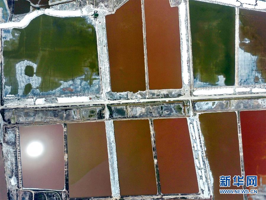 ???? ????? ????? ?? ??? 