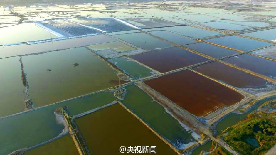 ???? ????? ????? ?? ??? 