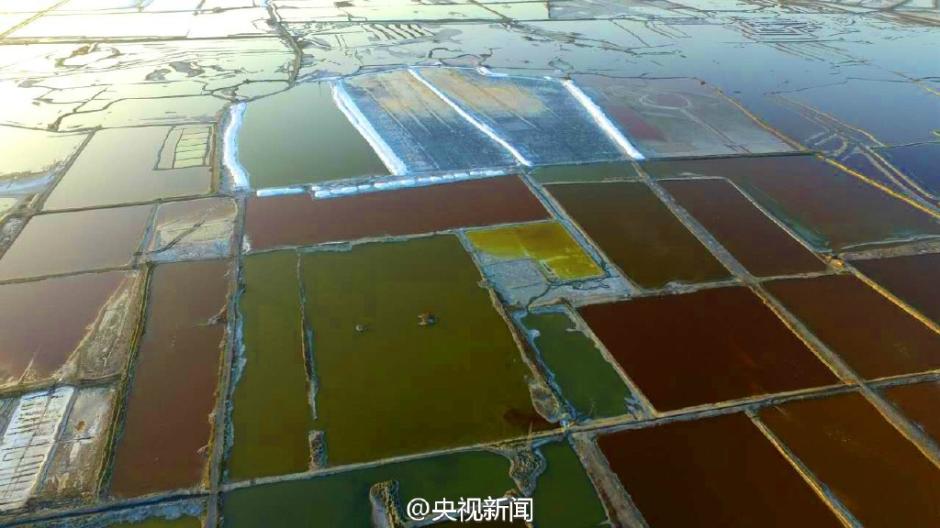 ???? ????? ????? ?? ??? 