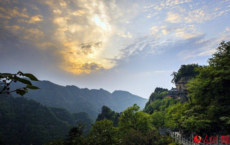 ?????? ???: ??? ?????? ???????