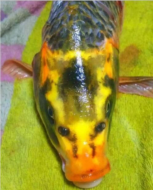 ?????? ???? ?? ??? ??????? ?? ?????? ?????