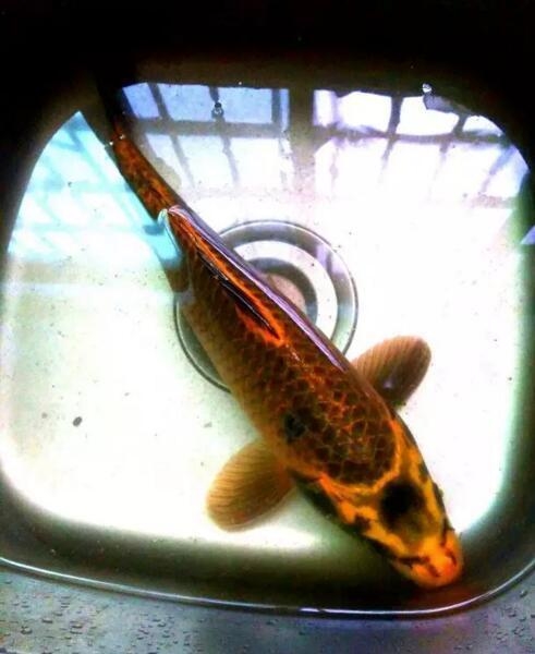 ?????? ???? ?? ??? ??????? ?? ?????? ?????