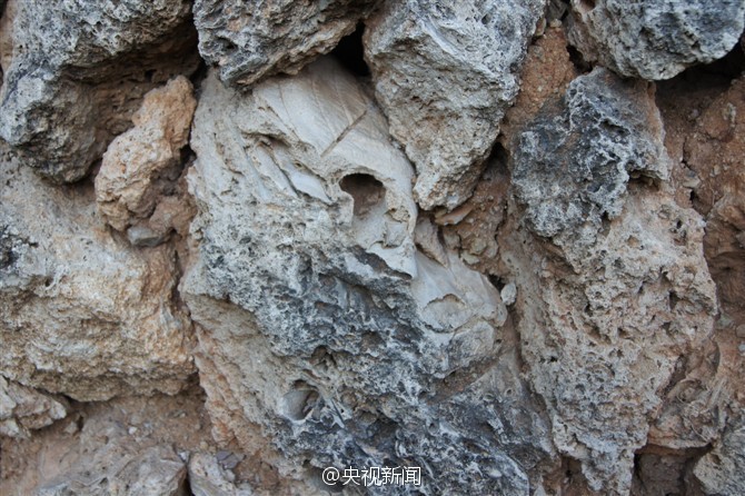 ????? ?? ???? ???????? ??????? ?? ?????