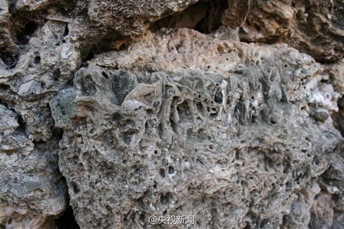 ????? ?? ???? ???????? ??????? ?? ?????