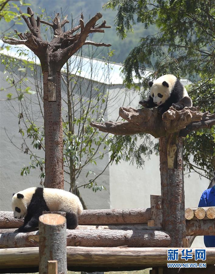 ?????? ??????? ??????? ??????? ???????? ?????