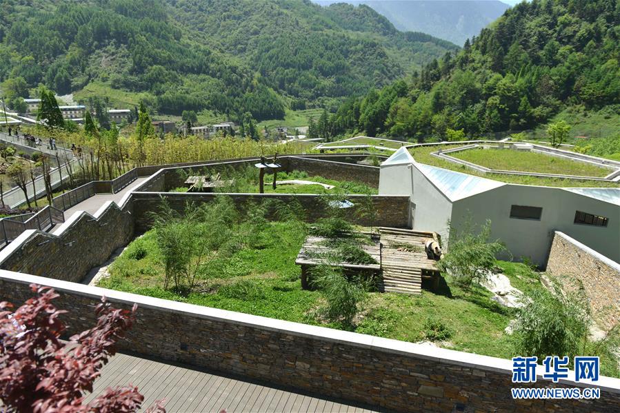 ?????? ??????? ??????? ??????? ???????? ?????