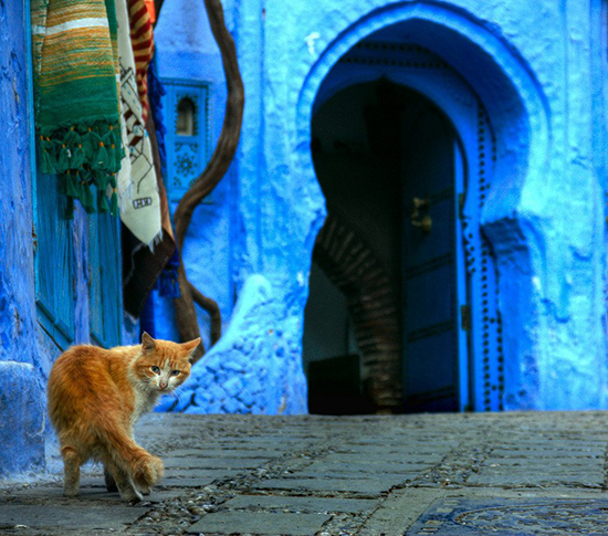 ???:?????? ?????? ???? ?????? ?????????? ???????? ???? ??? ??? ????????