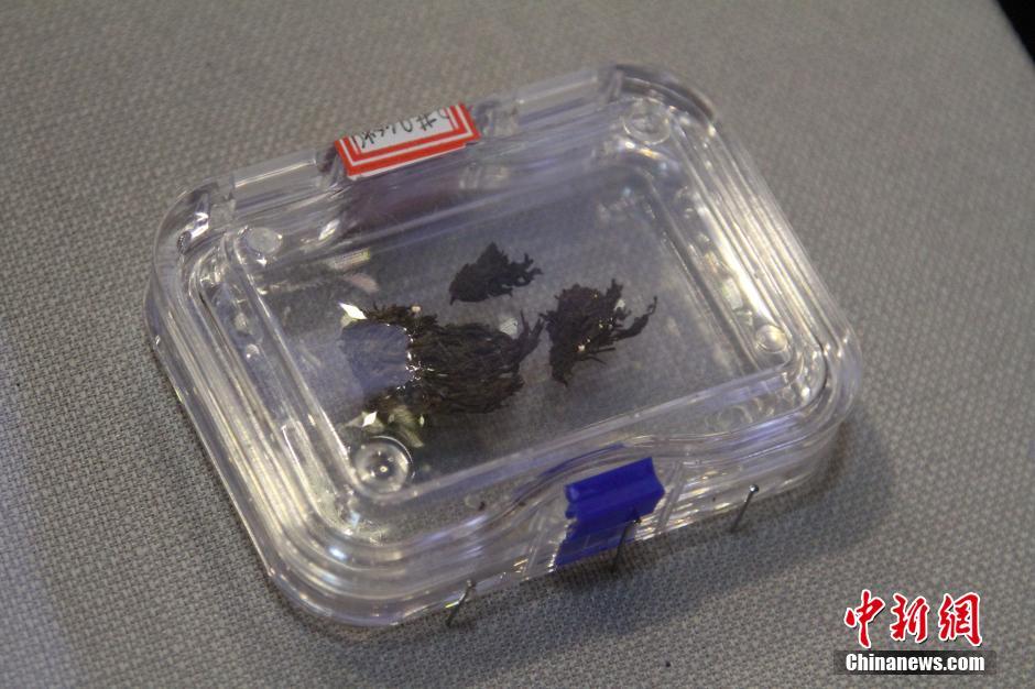 ???? ??? ?? ?????? ???? ?? ???? ?????