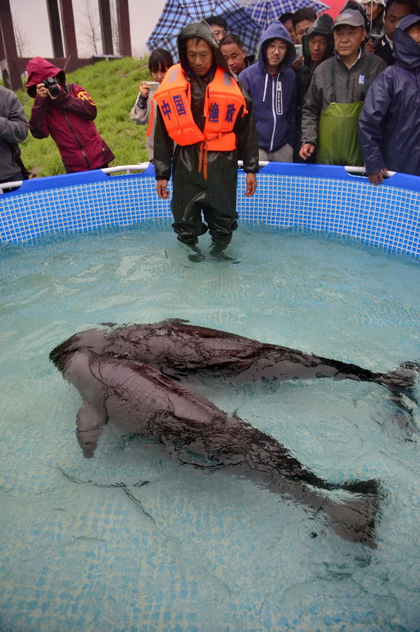 ????? ????? 2740 ????? ??????