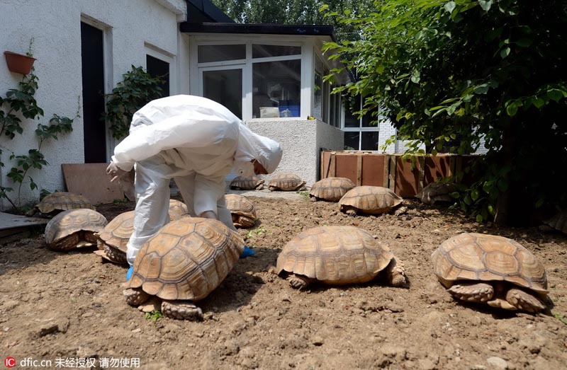 ????? ?????? ????? ????? ?? ????????? ?????? ?? ???????