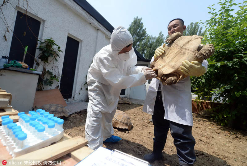 ????? ?????? ????? ????? ?? ????????? ?????? ?? ???????