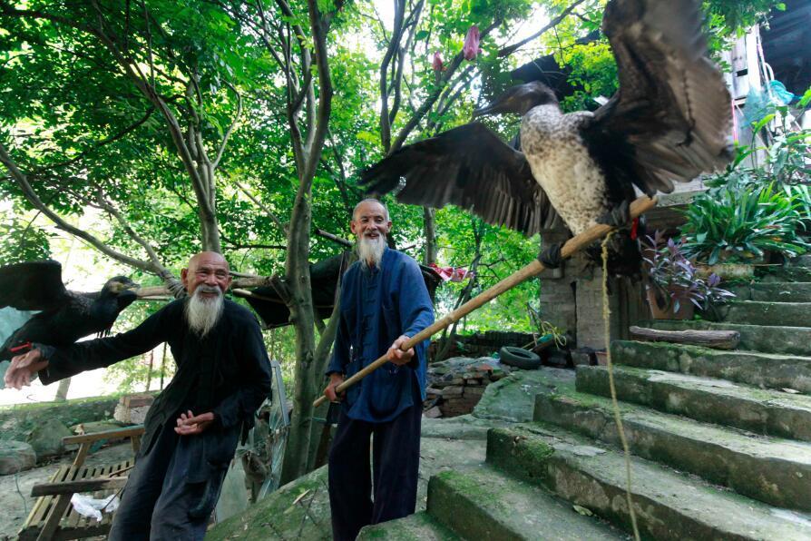 ?????? ?????: ?????? ??????? ????? ?? ??????? ???????? ??????