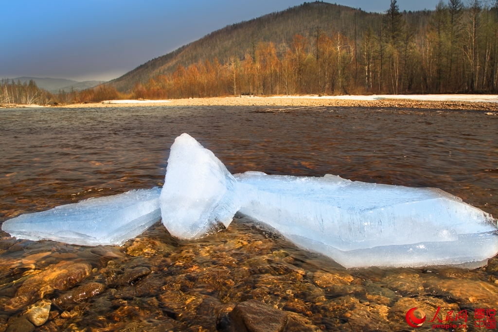 ????? ??????? ?? ?????.. ???? ???? ?? ???? ???? ?????