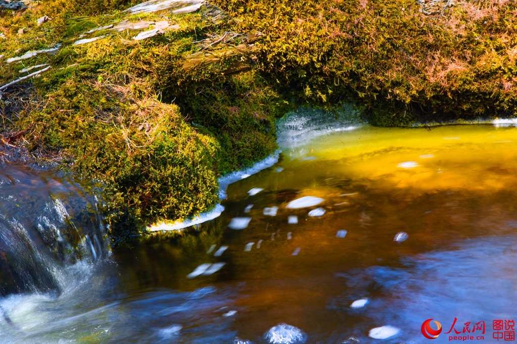 ????? ??????? ?? ?????.. ???? ???? ?? ???? ???? ?????