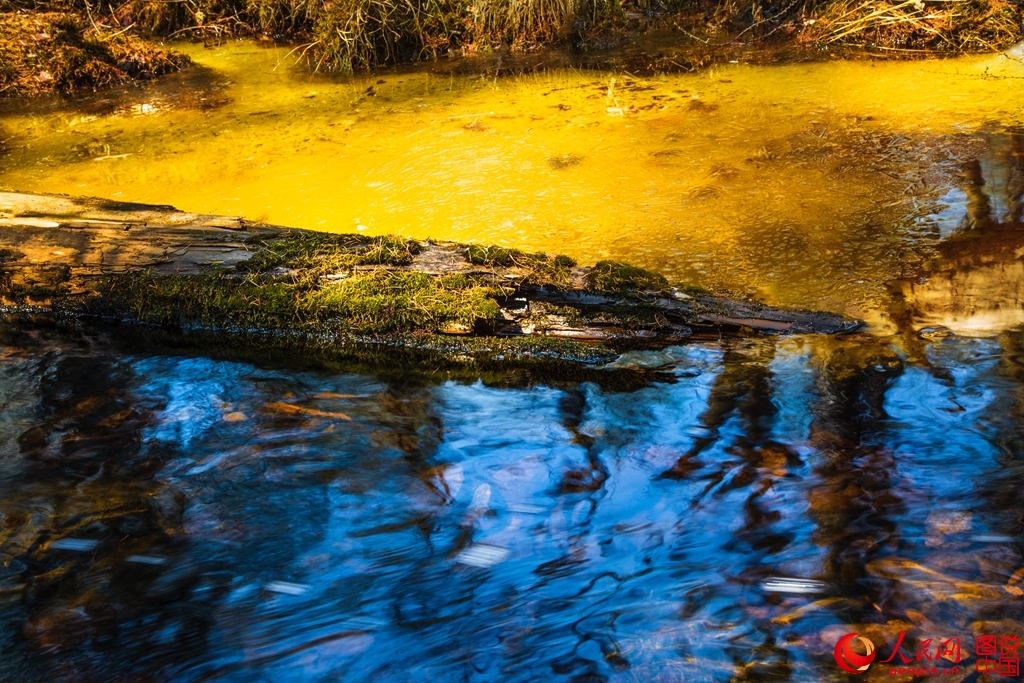 ????? ??????? ?? ?????.. ???? ???? ?? ???? ???? ?????