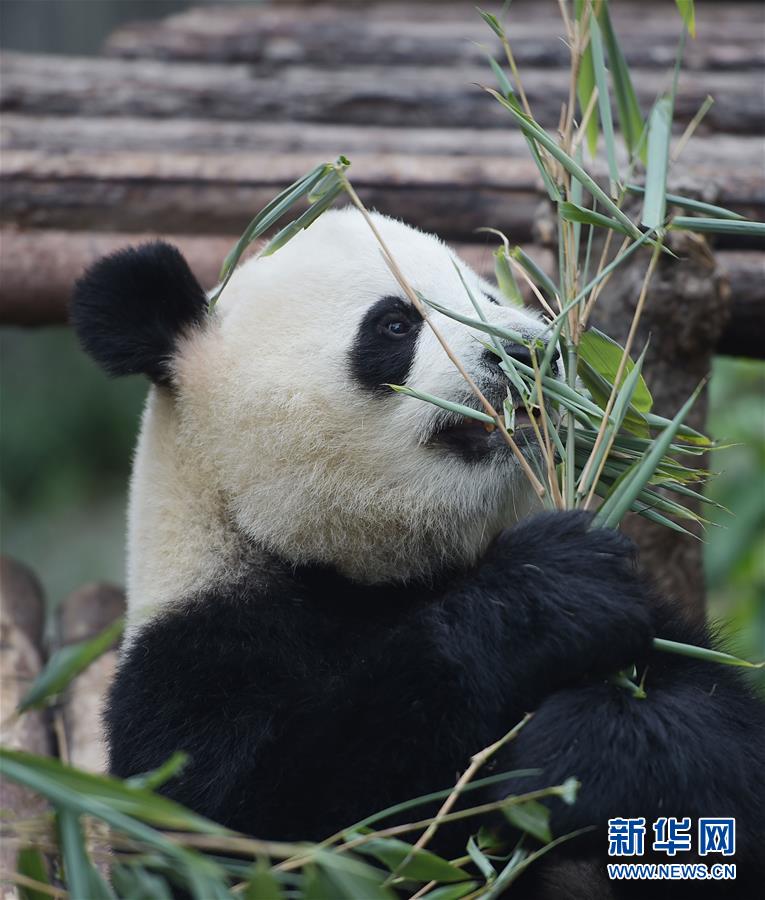 ??????? ???? 364 ????? ??????