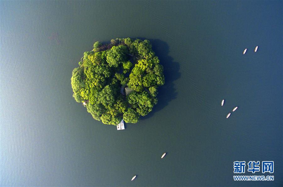 ????? ?????? ?????? ??????????????? ????????? ???? G20 ??? 2016