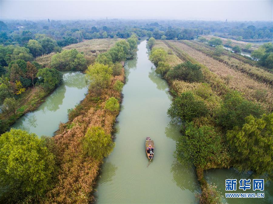 ????? ?????? ?????? ??????????????? ????????? ???? G20 ??? 2016