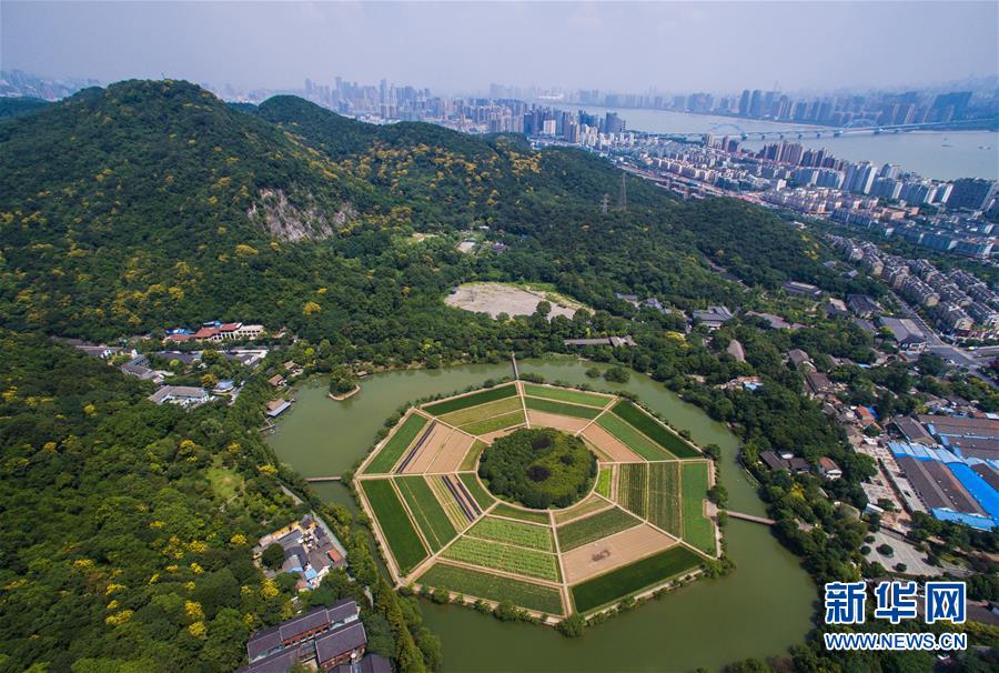 ????? ?????? ?????? ??????????????? ????????? ???? G20 ??? 2016