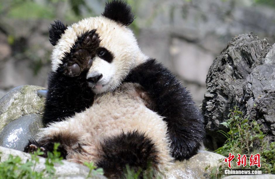 ??????? ???????? ???? ?????? ????? ?? ?????? ???? ???????