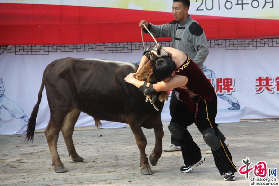 ??????? ?????? ????? ?????? ??????? ?? ?????? ???????