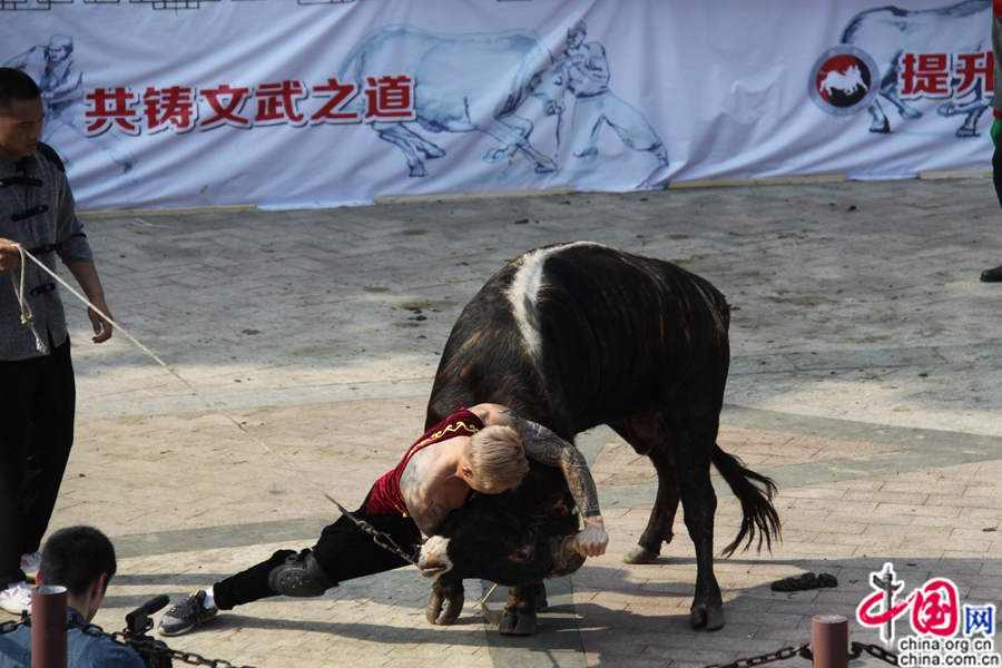 ??????? ?????? ????? ?????? ??????? ?? ?????? ???????