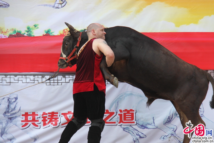 ??????? ?????? ????? ?????? ??????? ?? ?????? ???????