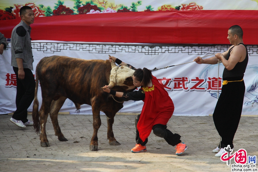 ??????? ?????? ????? ?????? ??????? ?? ?????? ???????