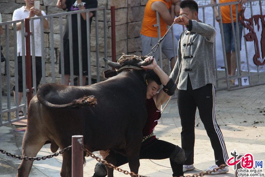 ??????? ?????? ????? ?????? ??????? ?? ?????? ???????