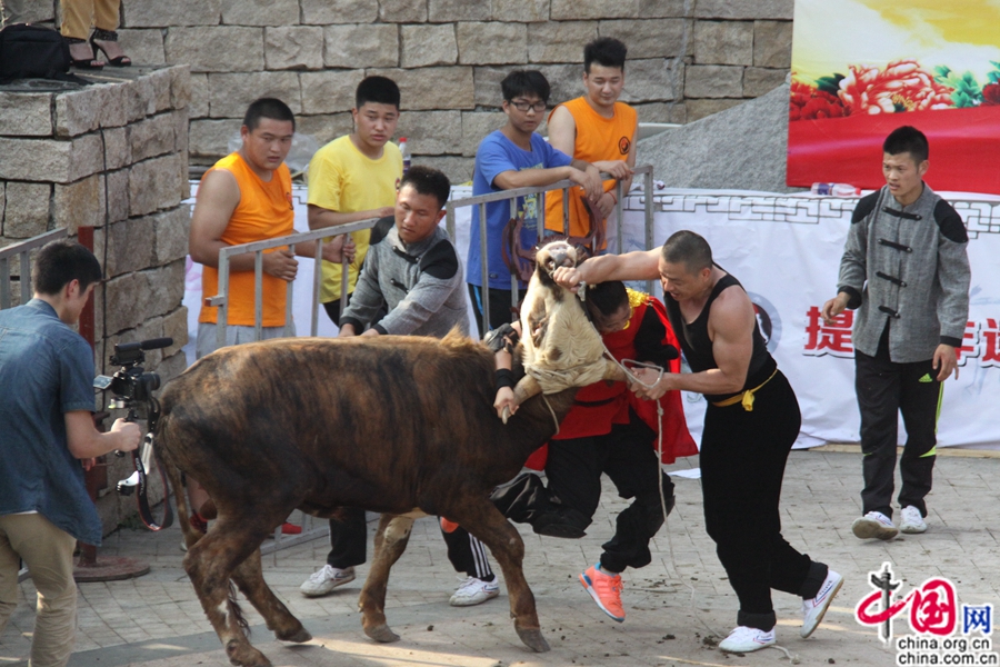 ??????? ?????? ????? ?????? ??????? ?? ?????? ???????