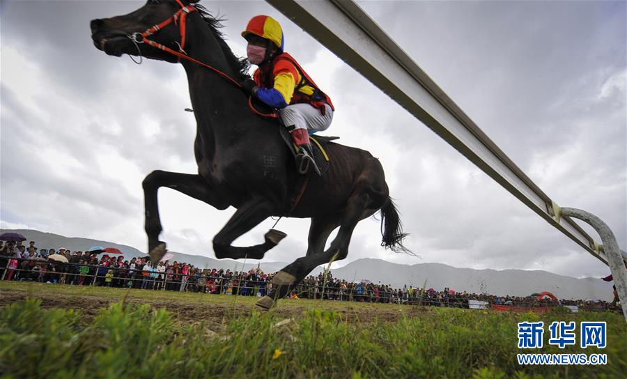 ?????? ????? ????? ?? ?????? ?? ????????