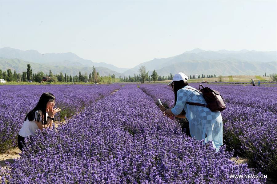 ????? ???? ??????? ?? ???? ???? ?????