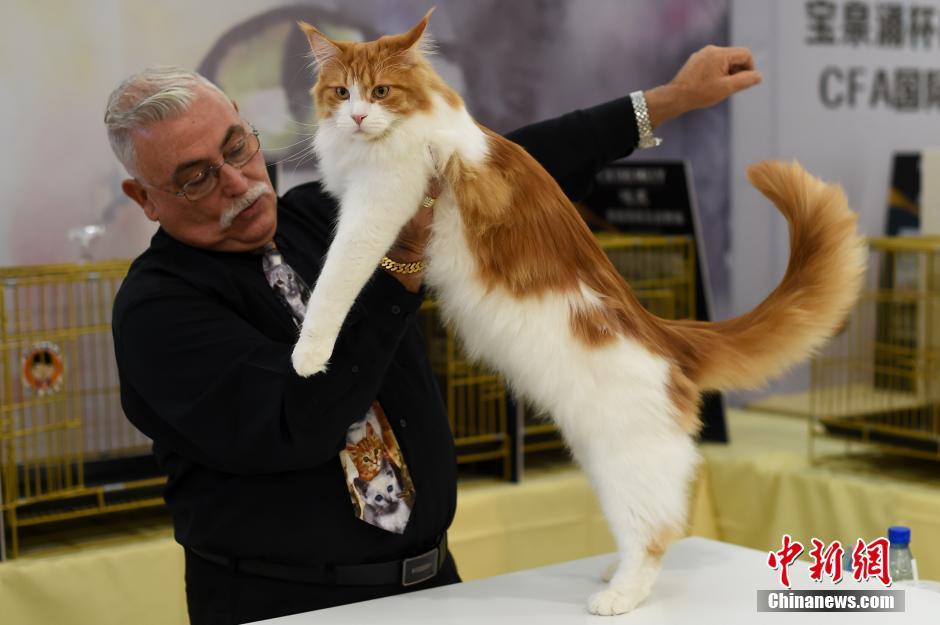 ?????? ????? ???????? ?? ??????? ???? ???????