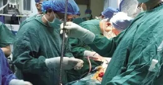 ????? ????: ??? ????? ????? ????? ???? 1.5 ??? ???? ?? ?????