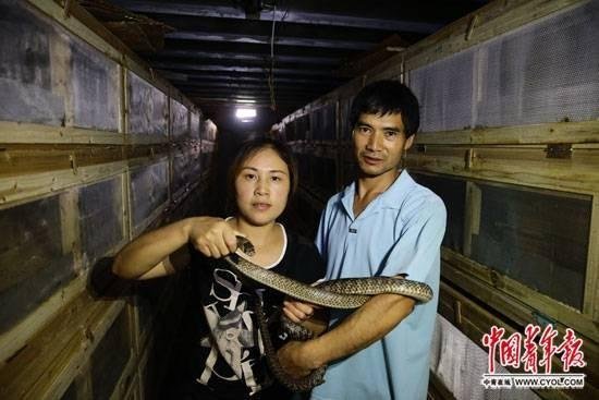 ????? ???????? ?? ?????: ?? ??????? ???? ?? ?????